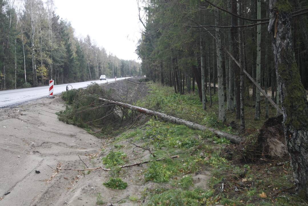 Vėtra uostamiestyje