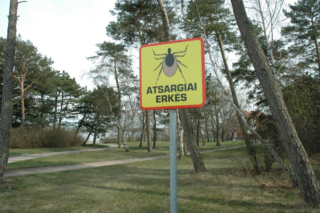 Tendencija: Lietuvoje erkių platinamomis ligomis – erkiniu encefalitu ir Laimo liga sergama net kelis kartus dažniau nei kitose Europos valstybėse.