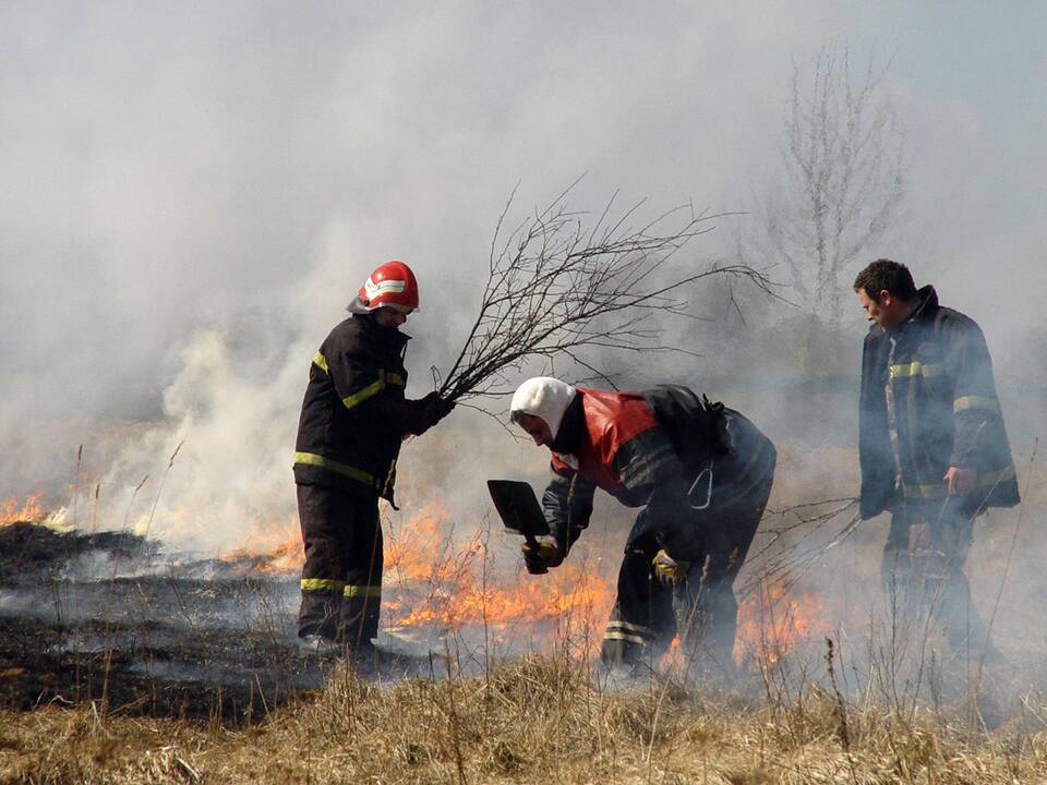 Ugniagesiai šeštadienį 35 kartus vyko gesinti degančios žolės