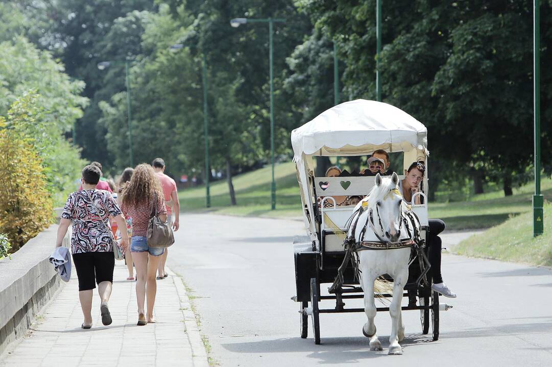 Smiltynė išsirinks savo seniūnaitį