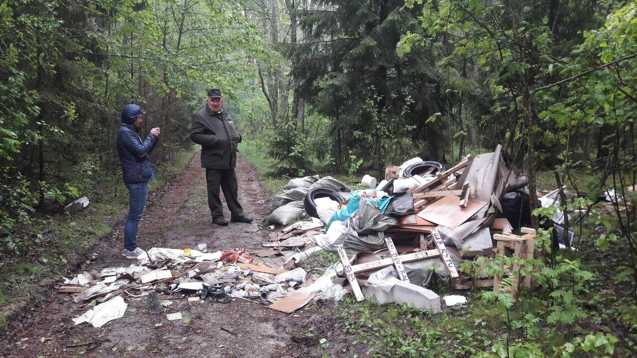Sutvarkė: po savaitgalio šį šiukšlyną patyliukais sutvarkė veikiausiai patys šiukšlintojai – įtariama, jog darbuotasi naktį ar paryčiais, nes niekas nepastebėjo šiukšlintojų mašinos.