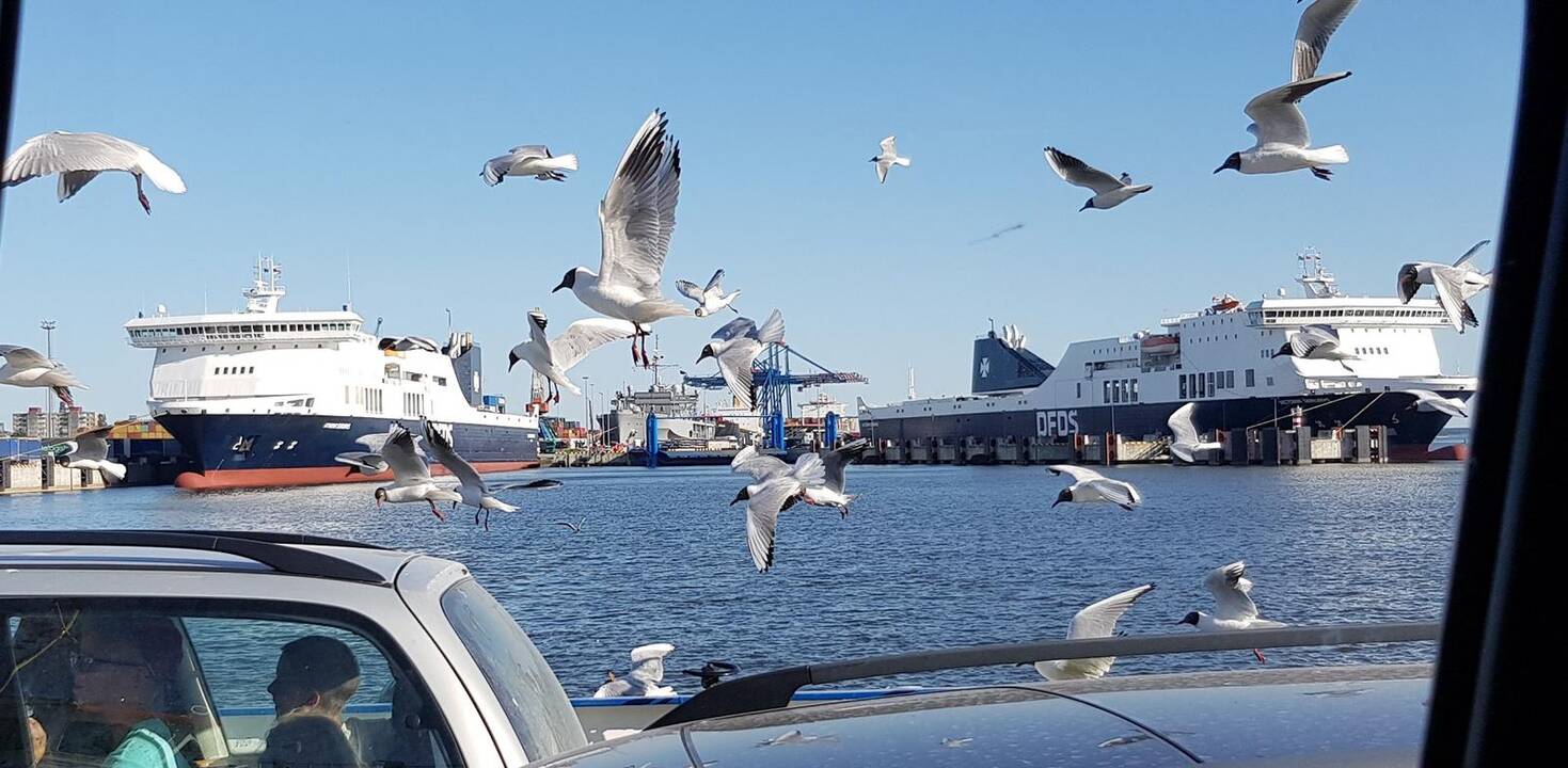Pasisekė: šiuo metu Lietuvos vėliavai didžiausią prestižą teikia danų kompanijos DFDS laivai.