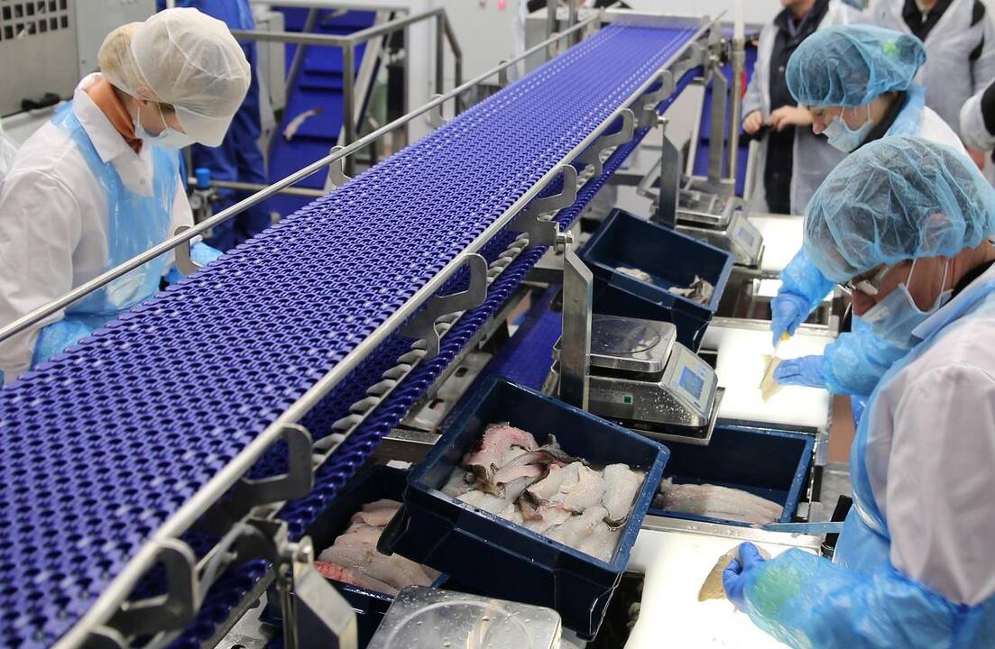 Klaipėdos žuvininkystės aukcione iš ES lėšų sukurta moderni žuvų apdorojimo linija, tačiau valdyti aukcionui vis nepasirenkama tinkamo vadovo.