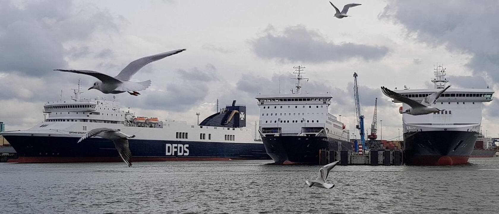 Uoste: suintensyvėjus jūrų laivybai Centriniame Klaipėdos terminale vienu metu kartais stovi ir trys keltai.