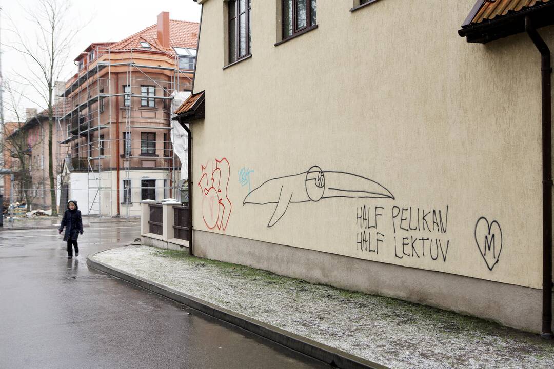 Grafitininkai apipaišė namų sienas