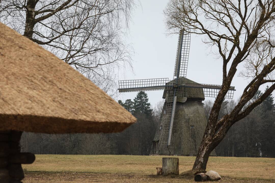 Muziejinių vertybių saugyklos statybai Rumšiškėse skirta beveik 30 mln. eurų