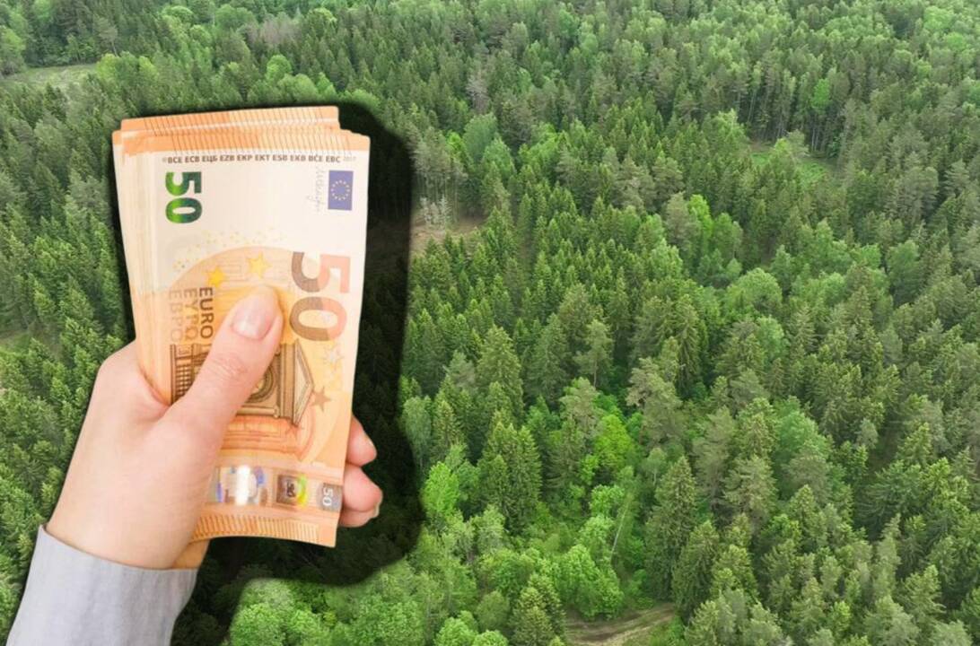 Dalis lietuvių tą daro be sąžinės graužaties: baudos negąsdina?