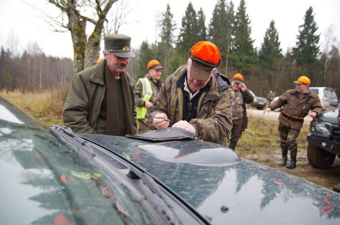 Miškų pažeidėjams Aplinkos ministerija žada neramias dienas