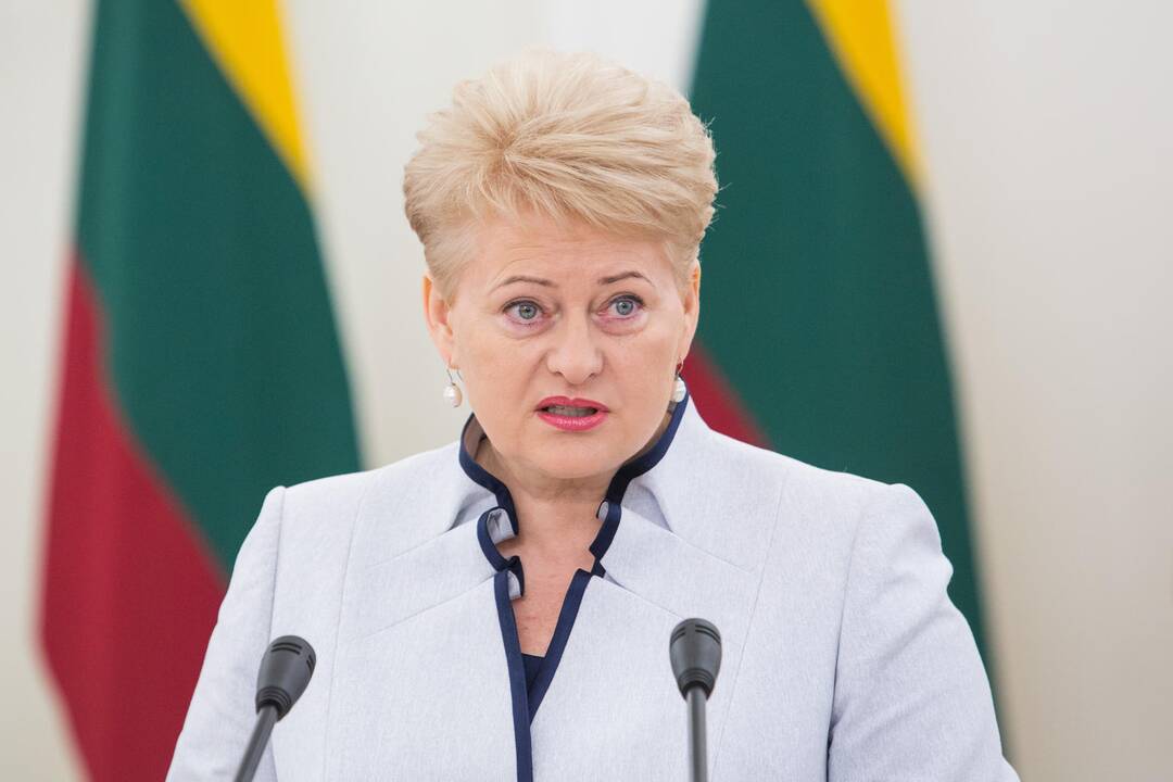 D. Grybauskaitė ragina sparčiau kurti integruotą Europos energetikos tinklą