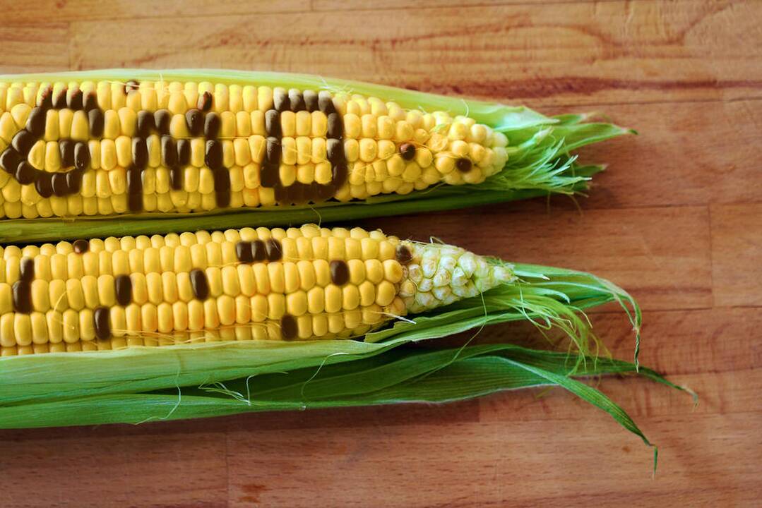 GMO – pačios Lietuvos reikalas