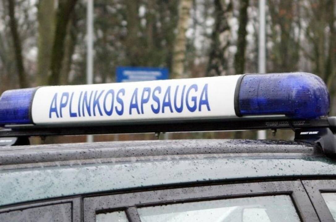 Vietoj sumedžioto stirnino – prarasti šautuvai ir automobilis