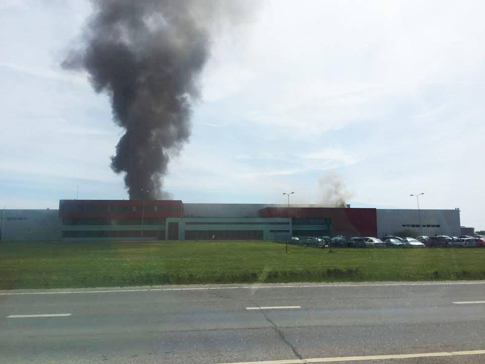 Degė Kėdainių konservų fabrikas