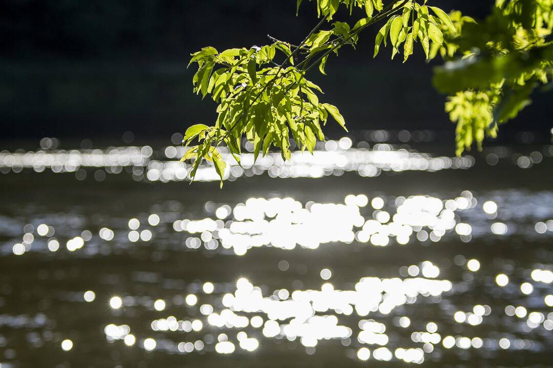 Tragiškos atostogos: Kaišiadorių rajone nuskendo du vaikai
