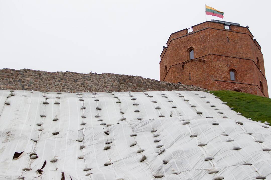 Kultūros viceministras su Vilniaus taryba aptars Gedimino kalno tvarkymo klausimus
