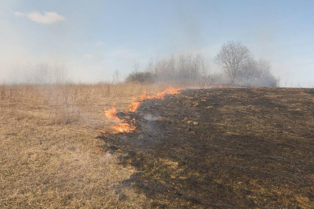 Lietuvoje savaitgalį išdegė 87 hektarai pernykštės žolės