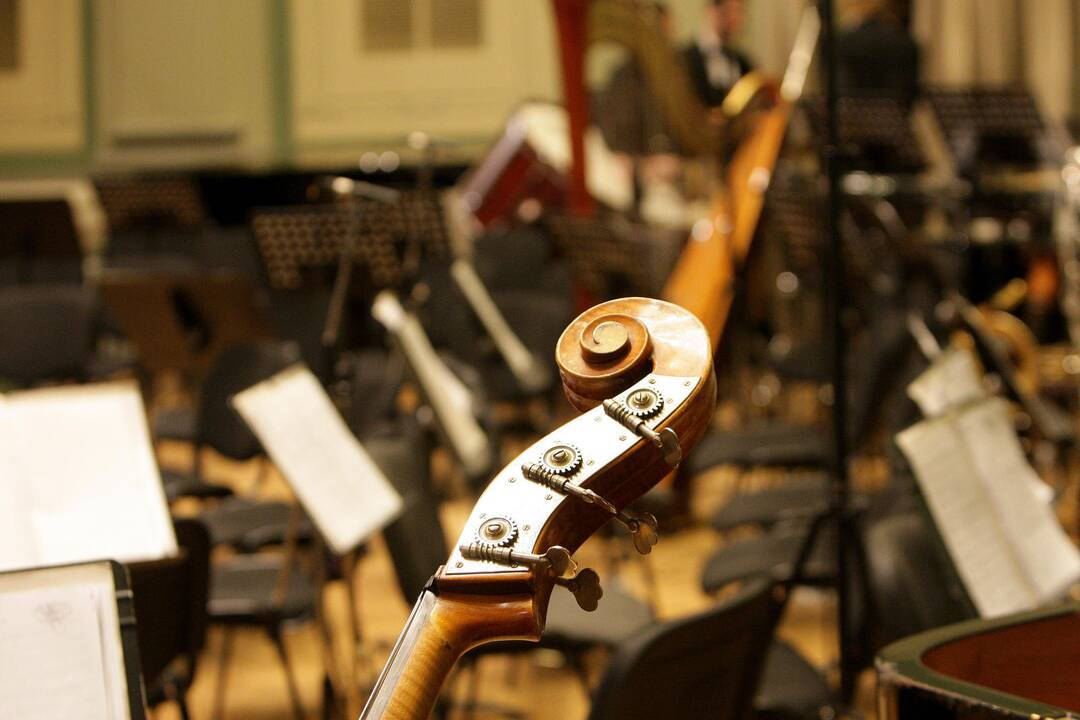 Kaune koncetuos ir garsus švedas