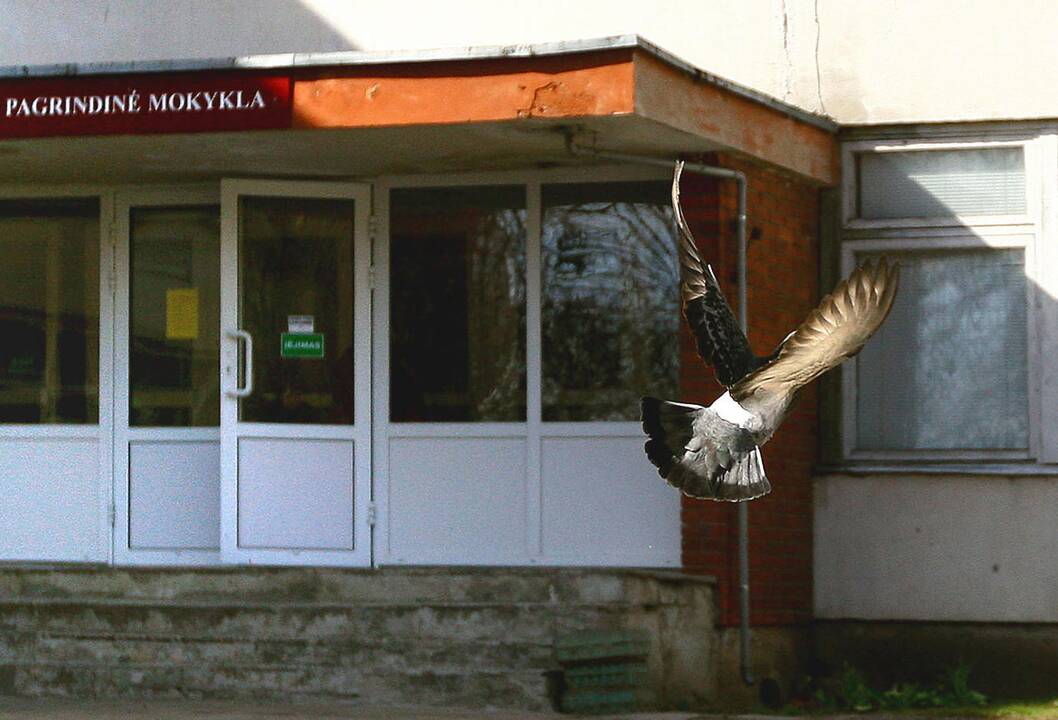 Kuo baigėsi Kauno mokyklų pertvarka?