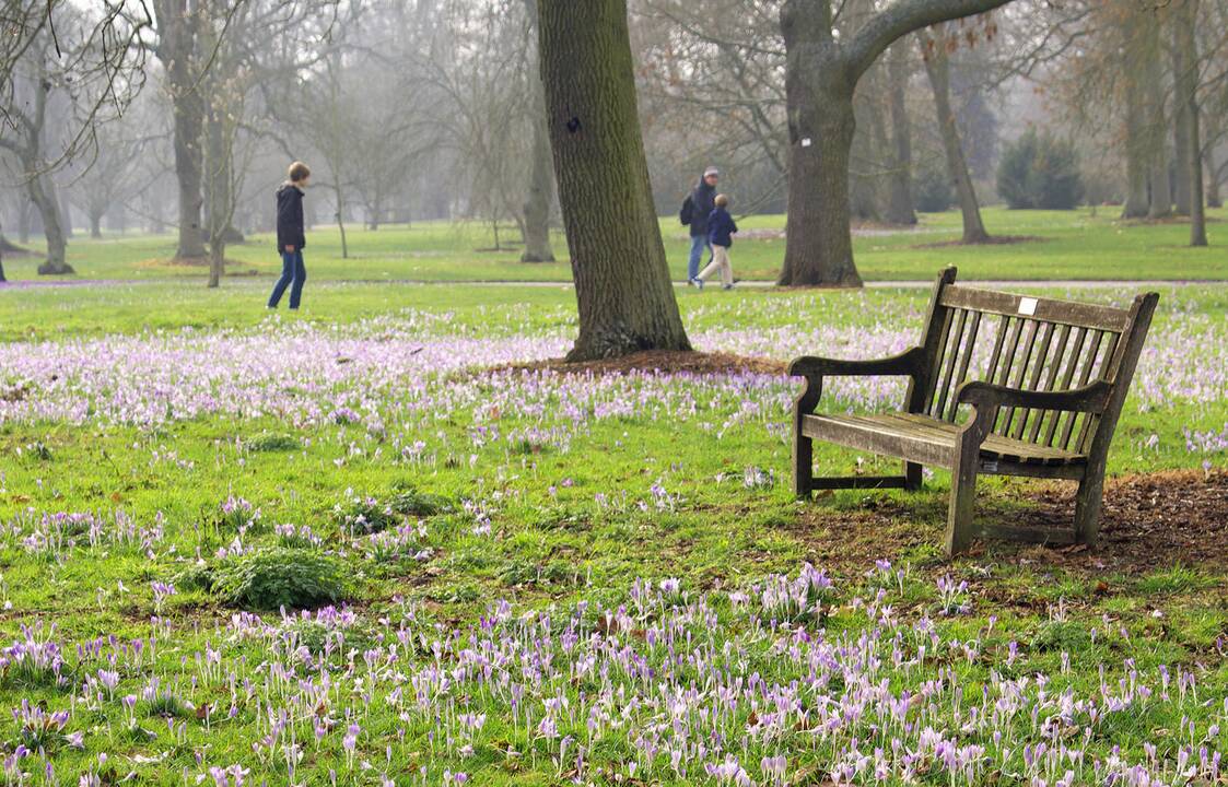 Apšvietė Sąjūdžio parką