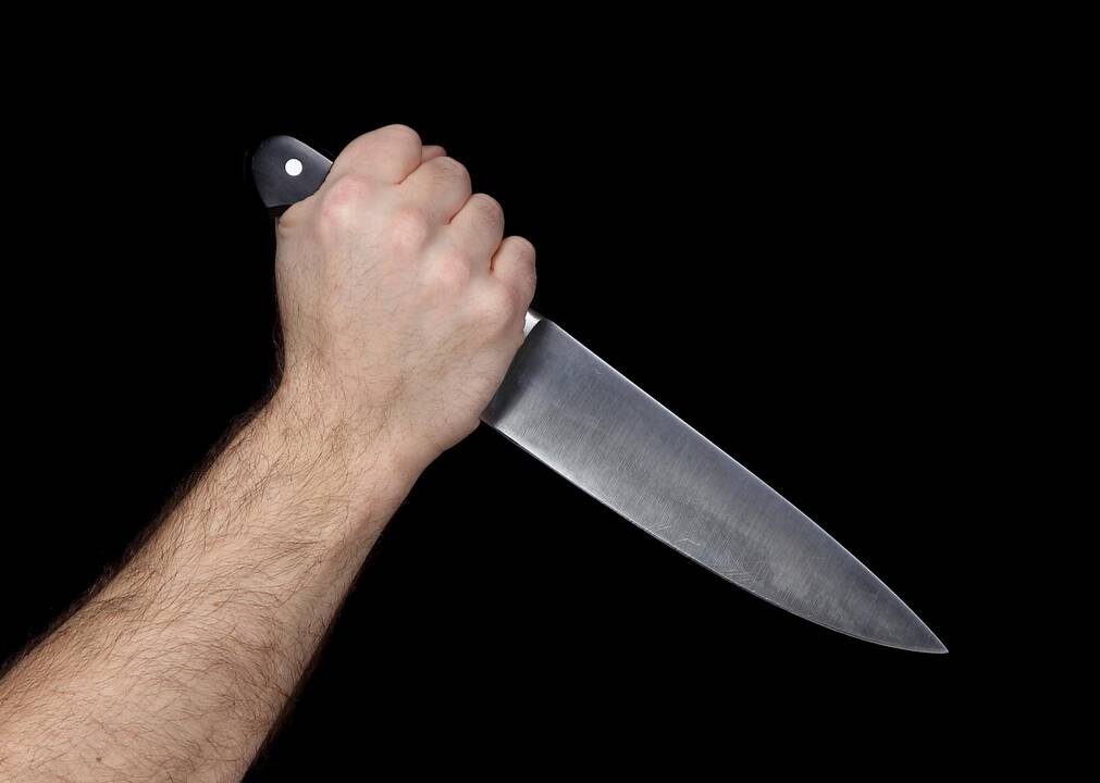 Pagirios: atsipeikėjęs po daugybės dūrių peiliu kaltininkas puolė laukan.