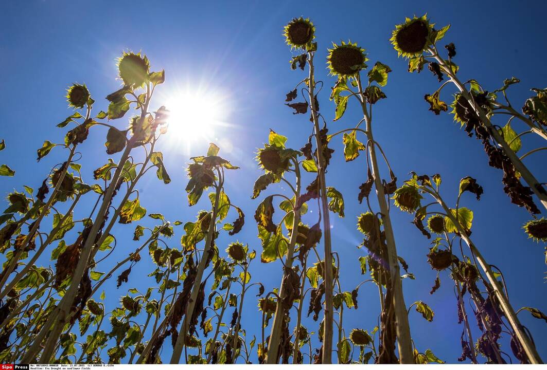Idėjinį karą dėl klimato kaitos perėmėme iš JAV?
