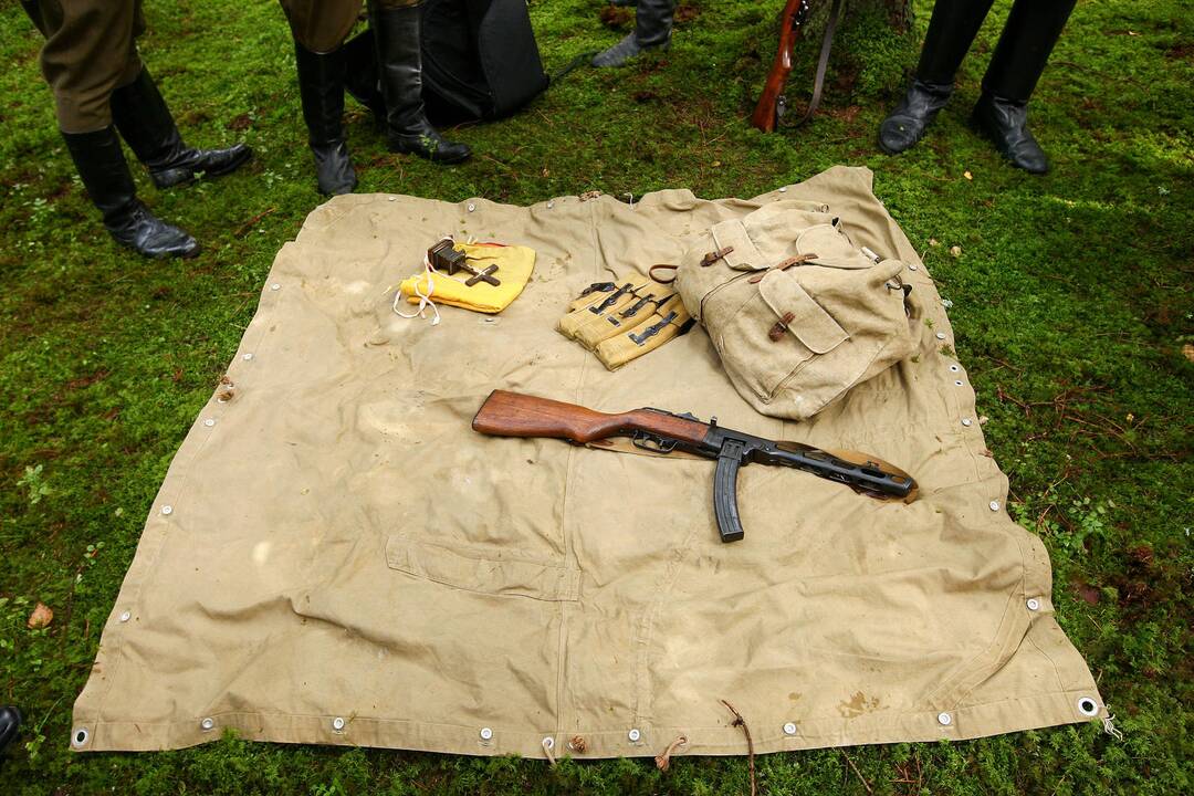 Partizanų žeminė