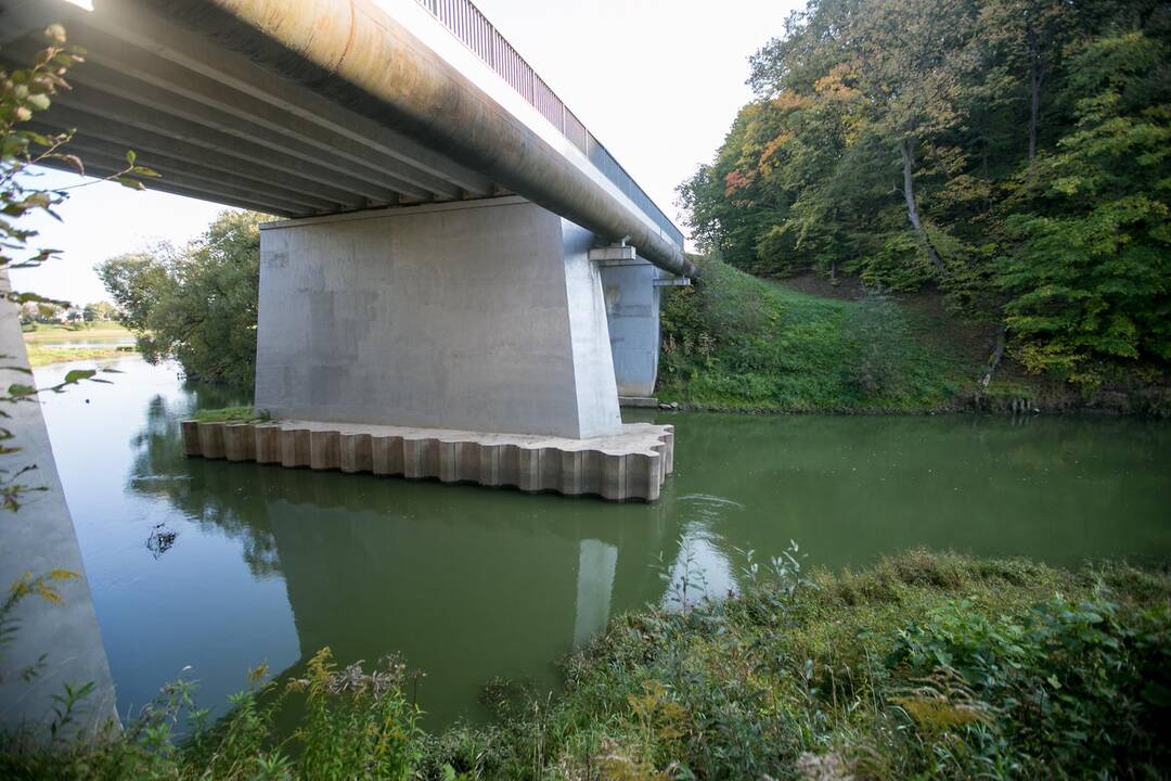 Pažaliavusi Jiesios upė
