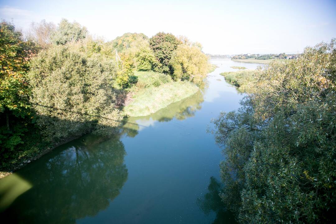 Pažaliavusi Jiesios upė