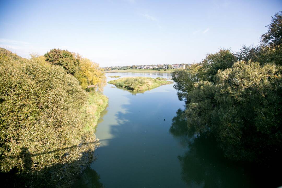 Pažaliavusi Jiesios upė