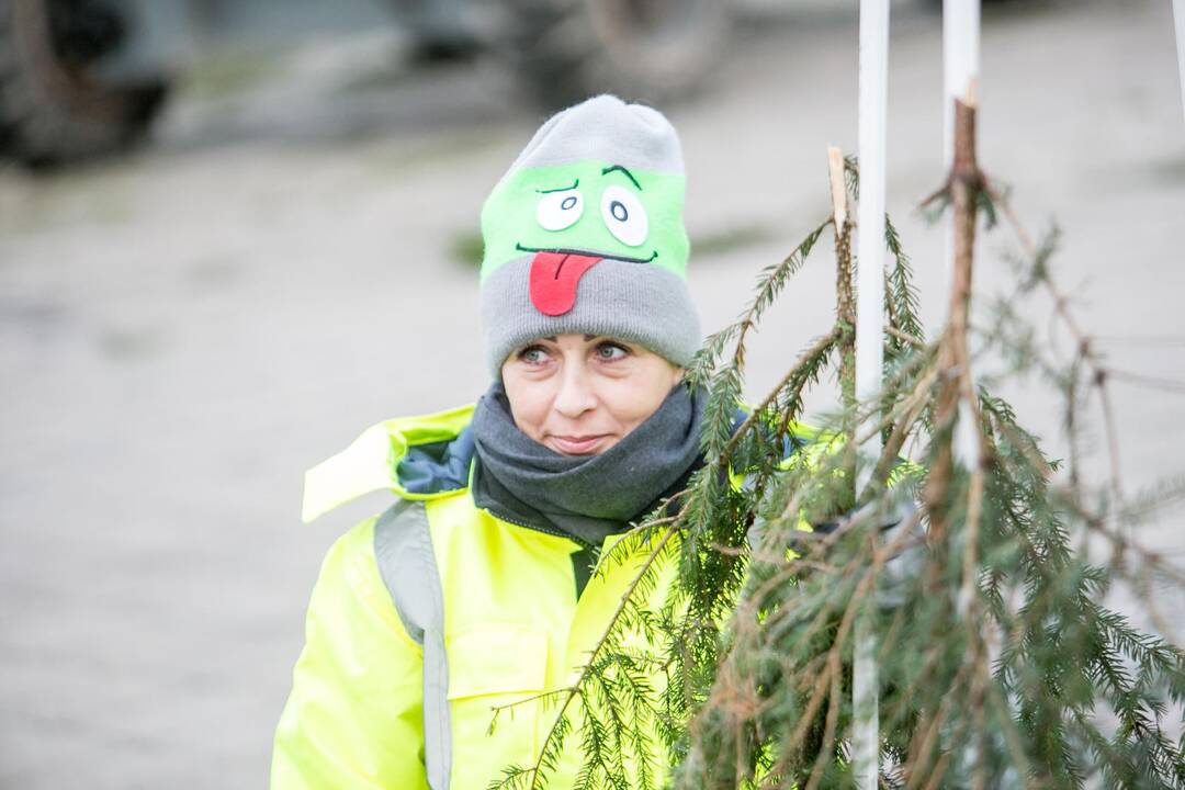 Kalėdinio miestelio pristatymas