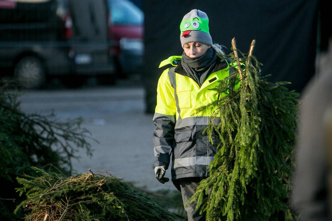 Kalėdinio miestelio pristatymas