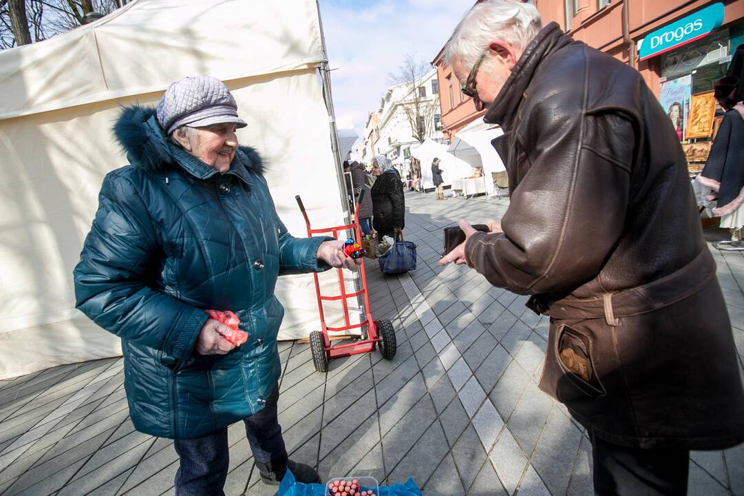 Kauno pavasario mugė 2019
