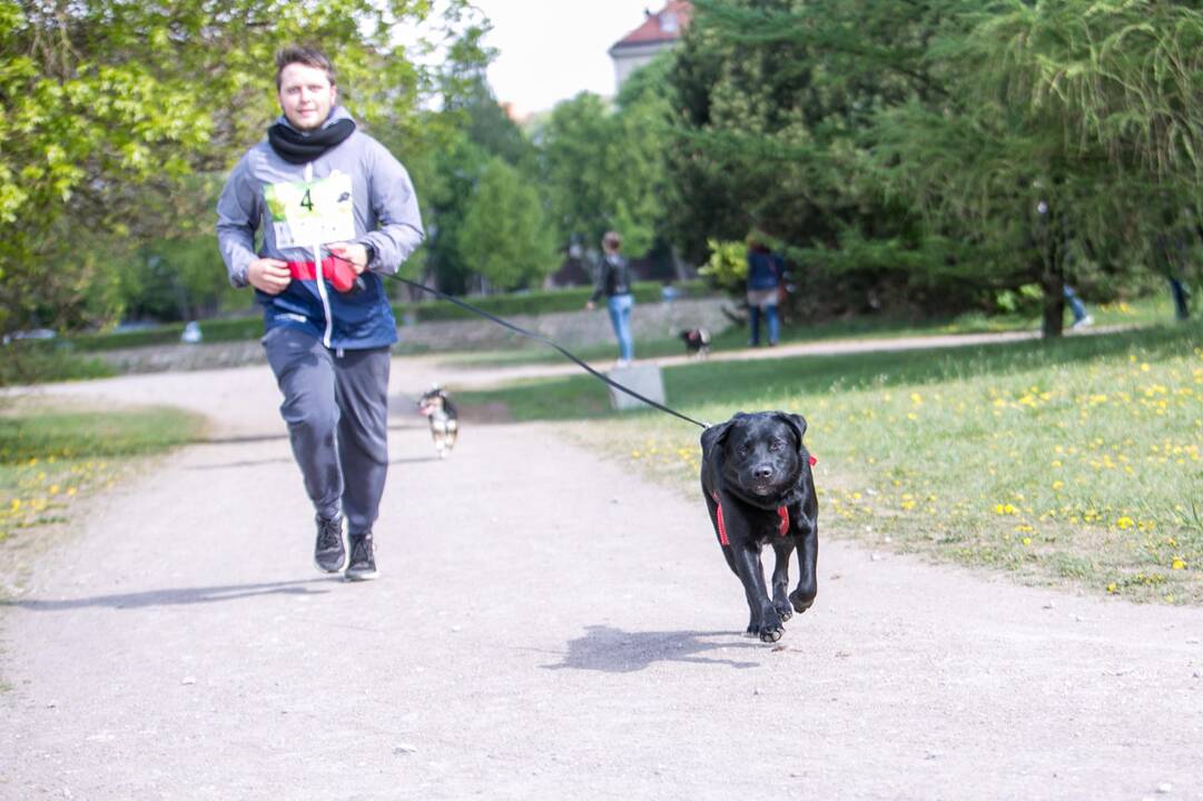 Šeimos savaitgalis su augintiniais 2019