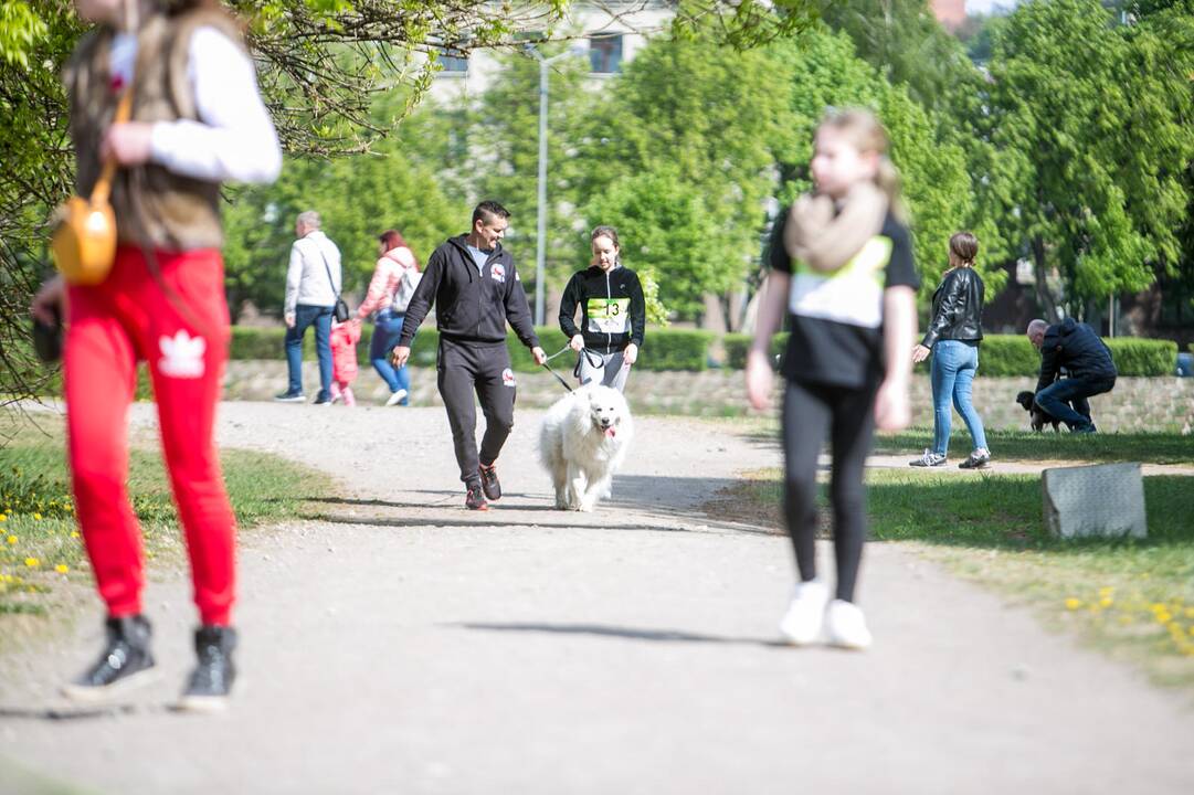 Šeimos savaitgalis su augintiniais 2019