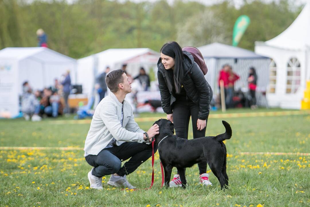 Šeimos savaitgalis su augintiniais 2019