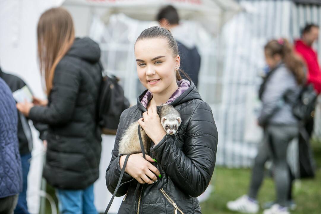 Šeimos savaitgalis su augintiniais 2019