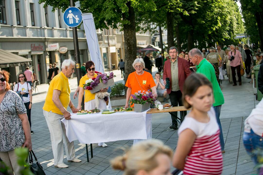 Prasidėjo "Kiemų šventė 2019" 