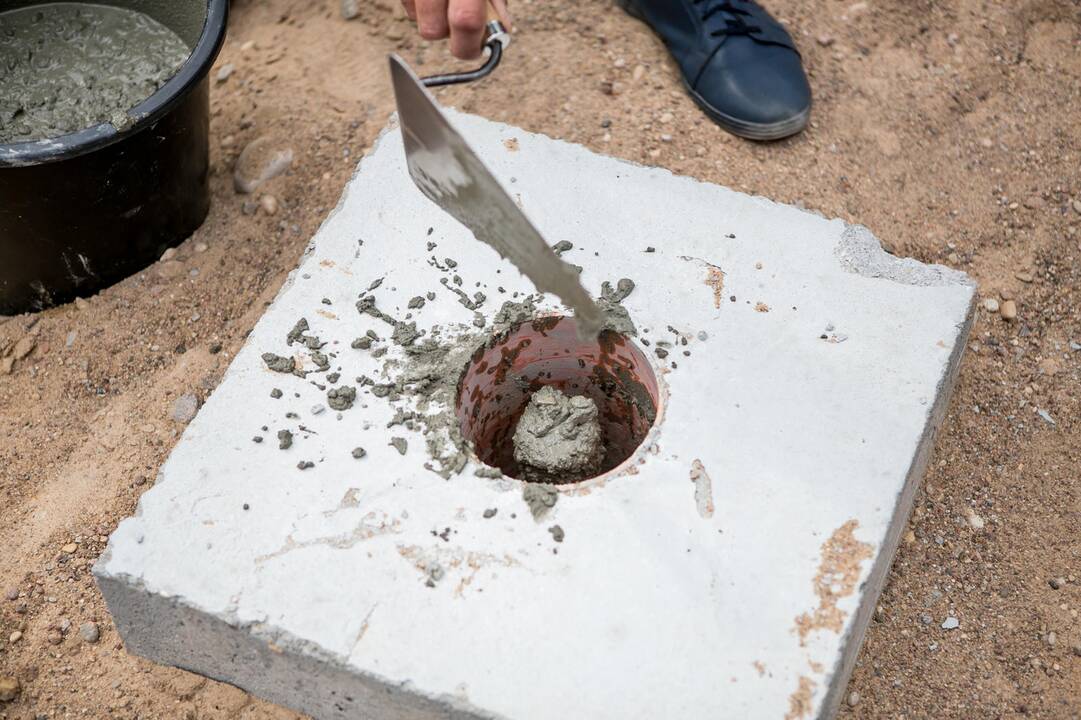 Zoologijos sode statoma gydykla