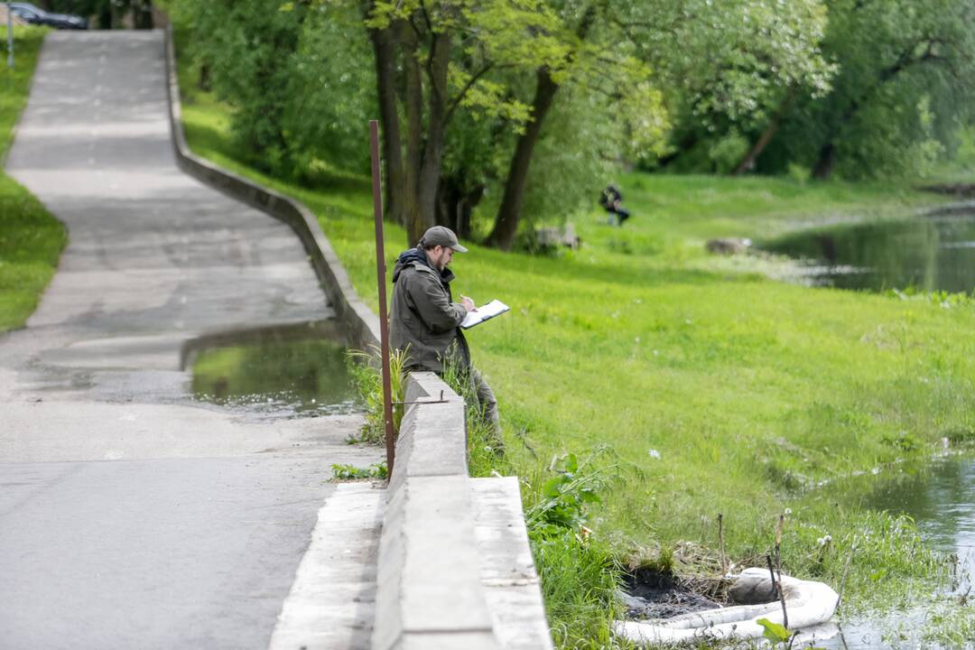 Žemuosiuose Šančiuose vėl teršiamas Nemunas