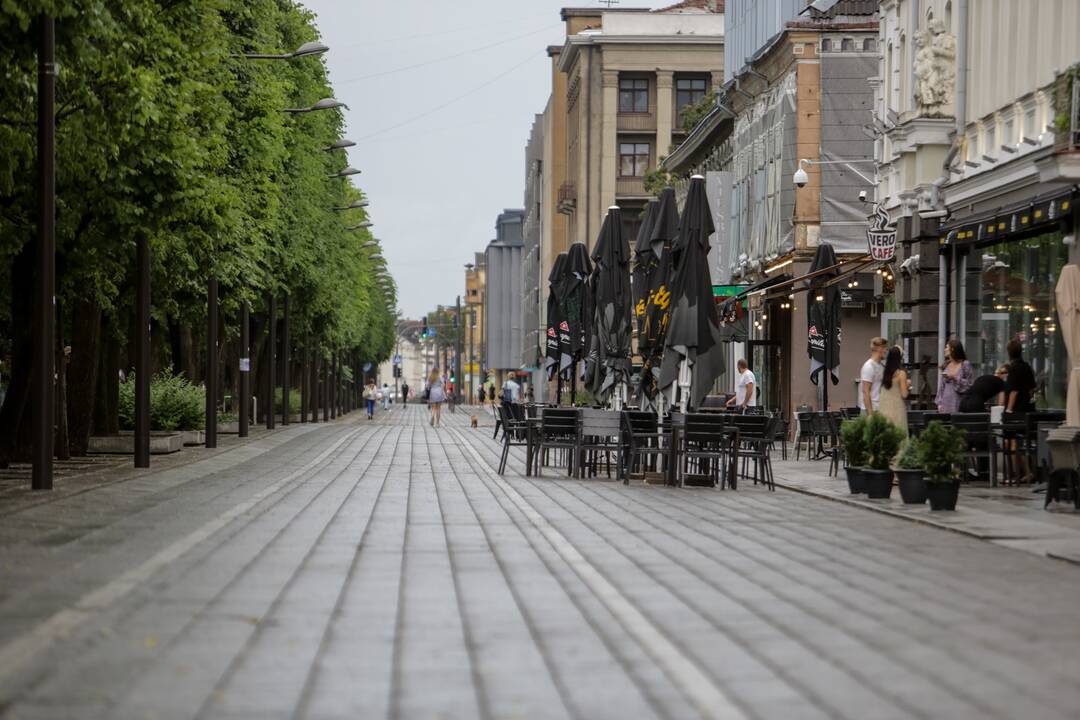 Joninių dieną – liūtis Kaune