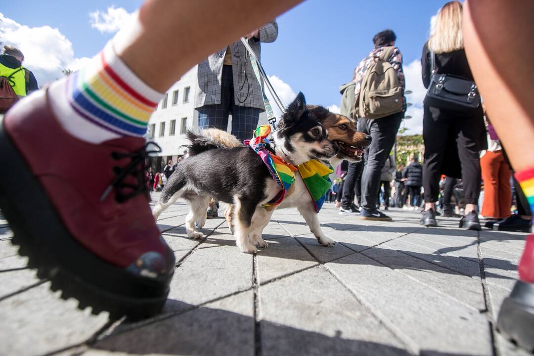 Į LGBT eitynes renkasi žmonės