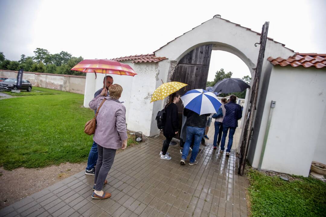 „Pažaislio liepų alėjos vakarai“: D. Razauskas ir S. Petreikis