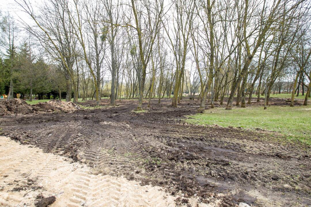 Kalniečių parko renovacija
