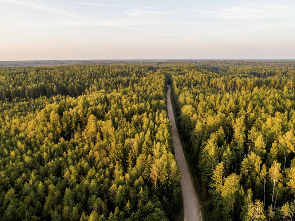 Šiemet miško keliams remontuoti – daugiau kaip 4 mln. eurų