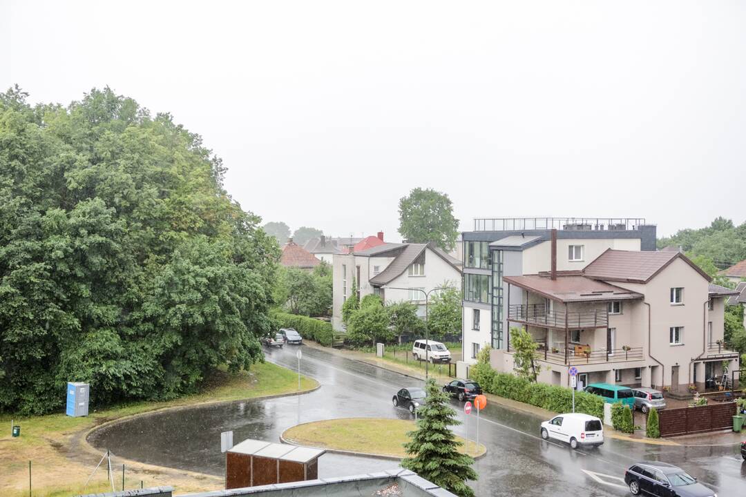 Joninių dieną – liūtis Kaune