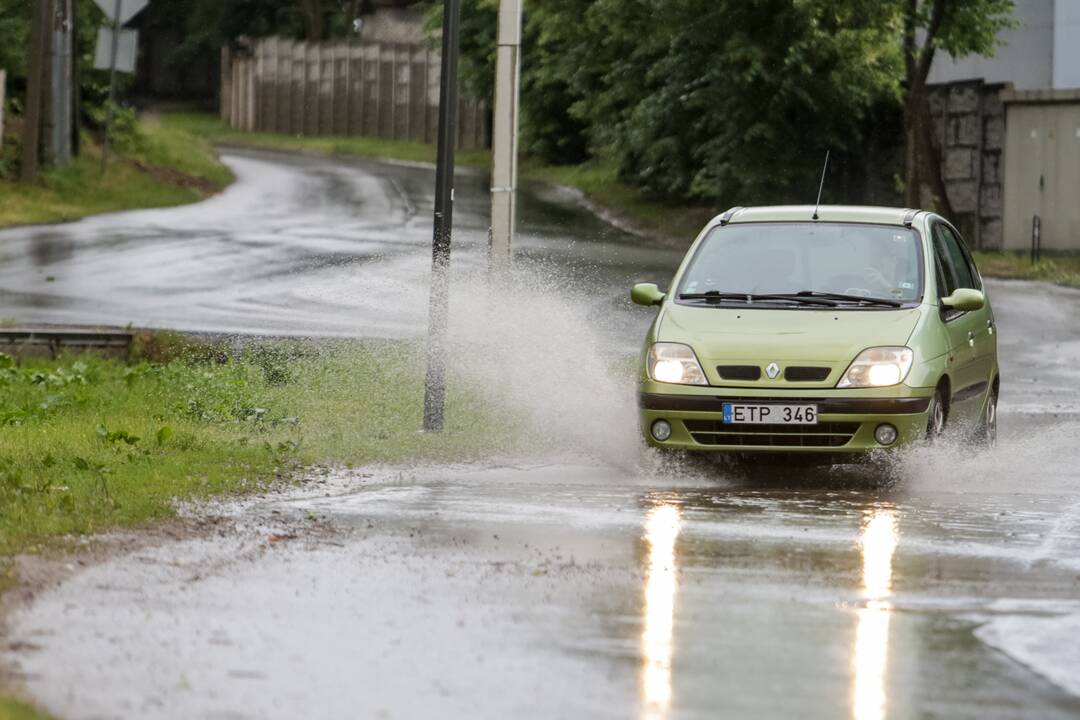 Joninių dieną – liūtis Kaune