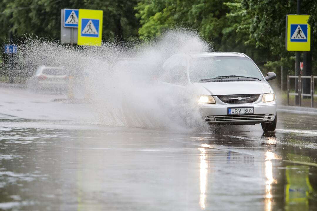 Joninių dieną – liūtis Kaune