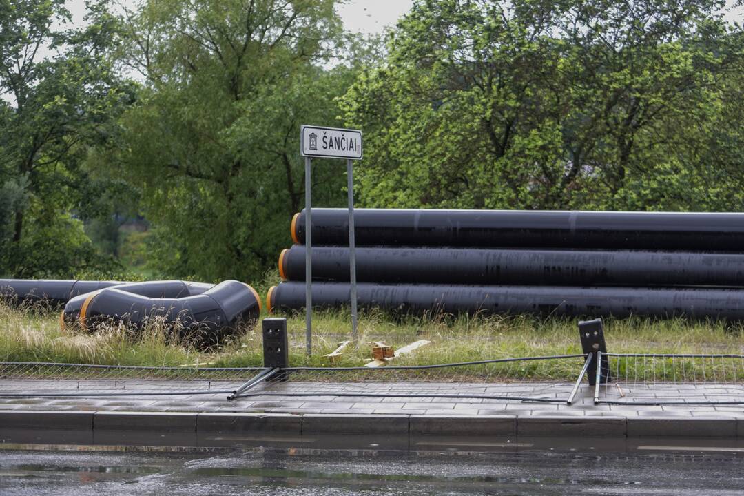 Joninių dieną – liūtis Kaune