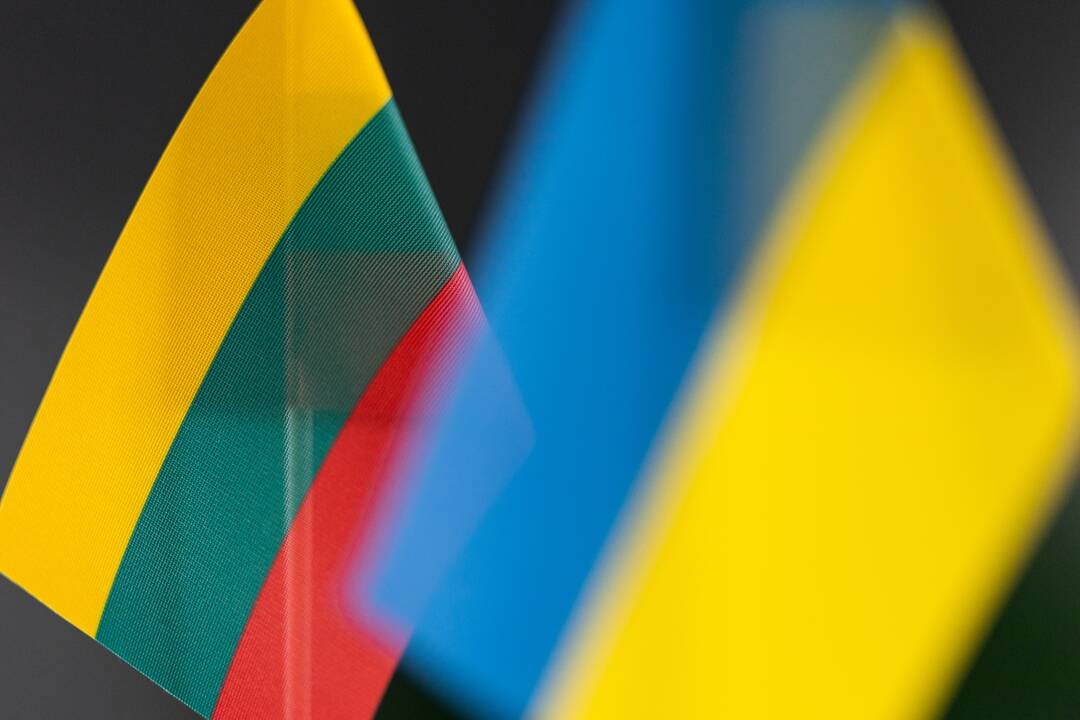 Lietuvos bankas išleis sidabro monetą, skirtą Ukrainos kovai už laisvę