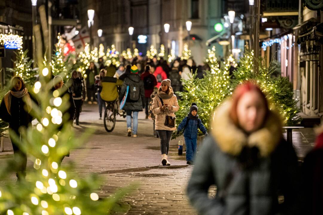 Žingsnis link Kalėdų: įžiebta žvaigždėmis puošta Kauno eglutė!