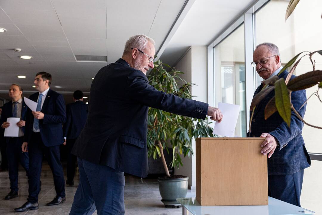 Balsavimas dėl Irenos Segalovičienės paskyrimo valstybės kontroliere